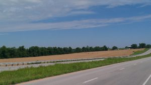 Harrodsburg crop field