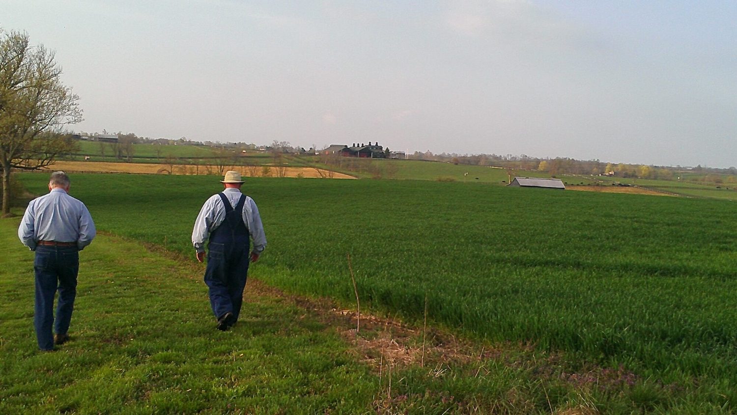 two men walking in field