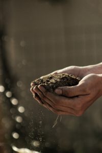 holding soil in hands